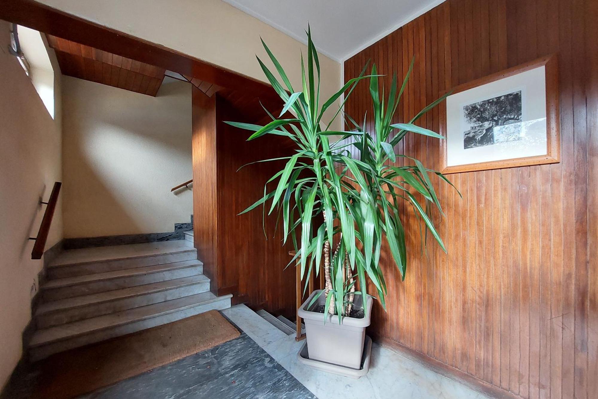 San Pietro'S Flat Appartement Rome Buitenkant foto